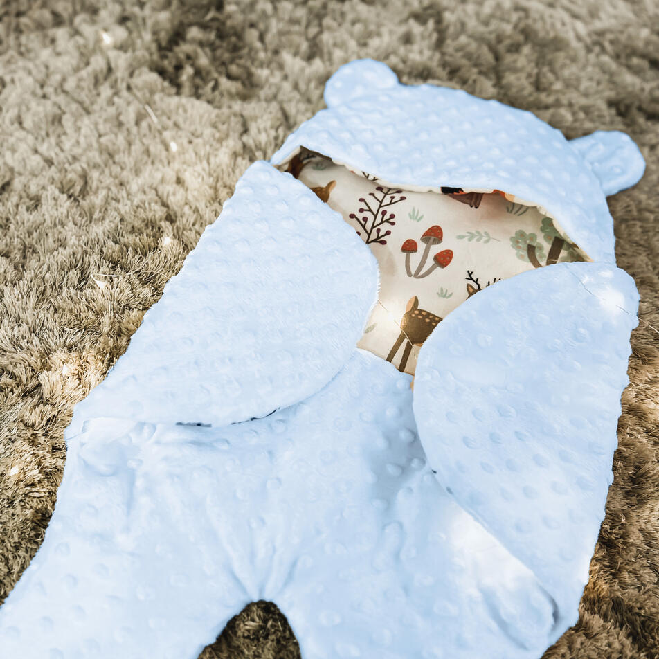 Minky Teddy Blankets