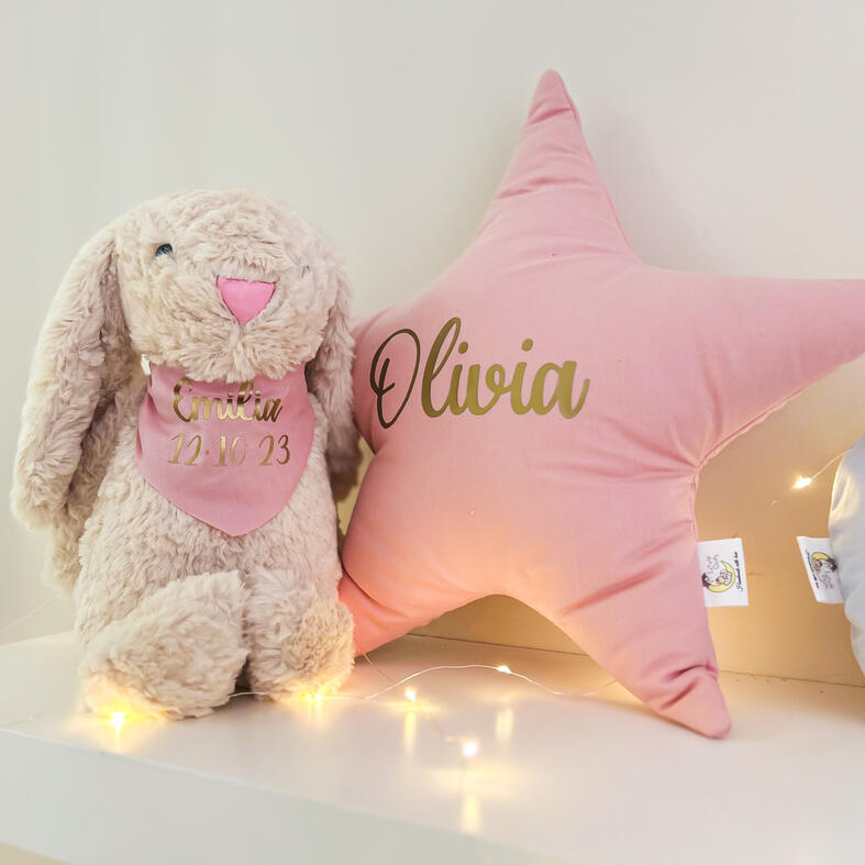 Girl bunny + cushion