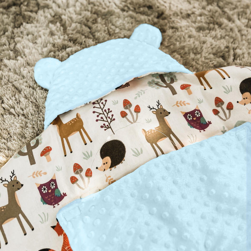 Blue Minky Teddy Blanket